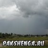 pakshenga_2011_29_ 